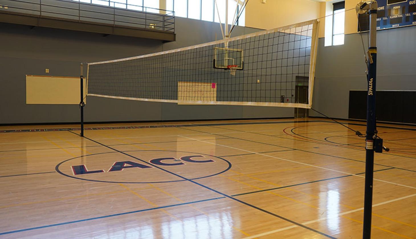 Volleyball court